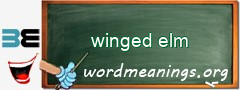 WordMeaning blackboard for winged elm
